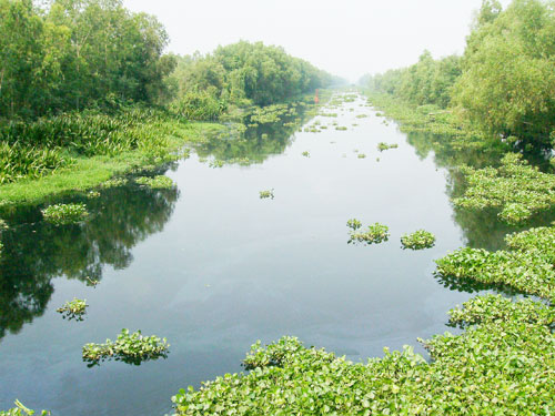  Giải pháp bảo vệ môi trường nước sông, kênh rạch với sự tham gia của cộng đồng