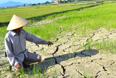 Gồng mình chống hạn