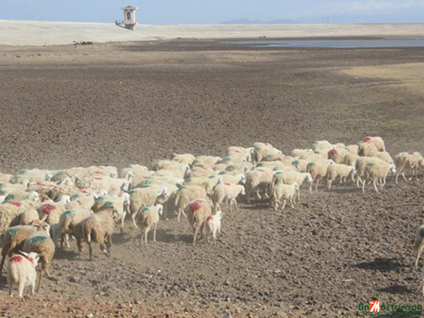 Quy hoạch thủy lợi miền Trung trong điều kiện biến đổi khí hậu: Mấu chốt bảo đảm ngăn mặn, giảm lũ