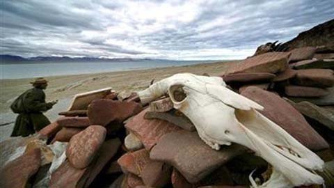 Nước ngọt - Cuộc chiến cam go nhất châu Á?