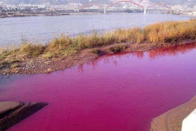 Những dòng sông đổi màu