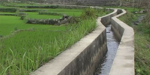  Ngân sách cấp bù thủy lợi phí là “mồi ngon” cho tham nhũng